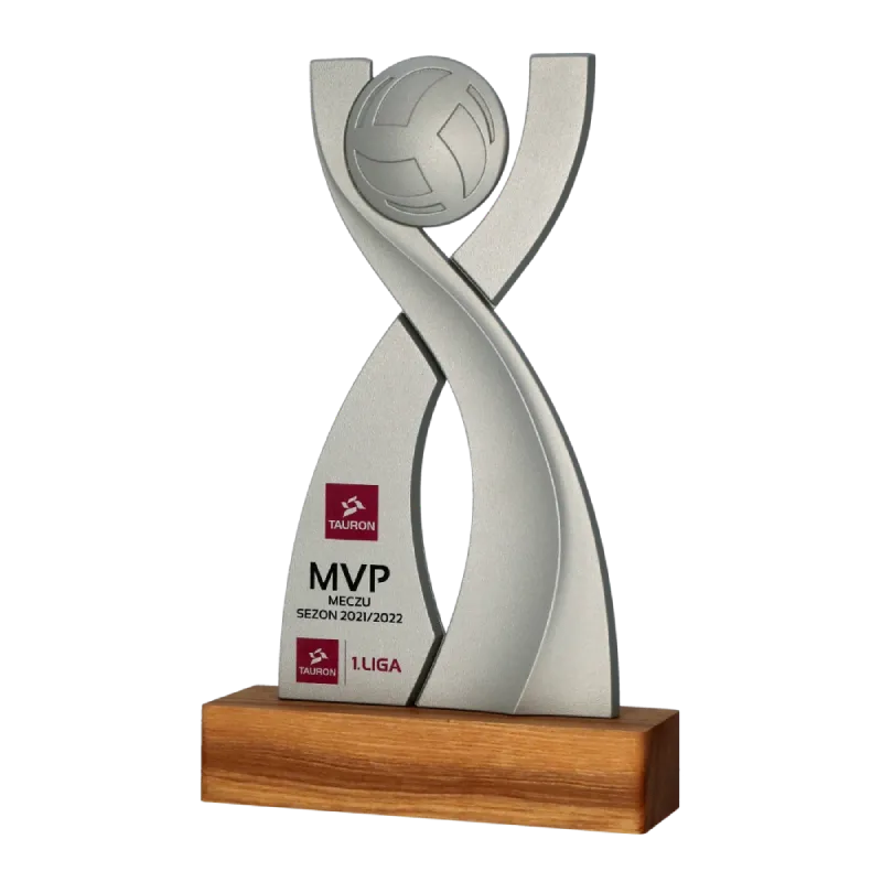 volleyball trophy for the best player of the match