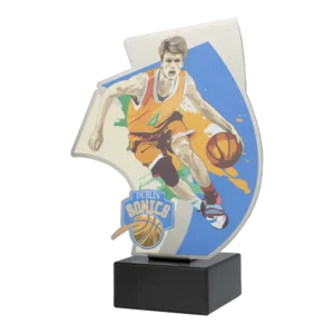 Custom made trophy for Dublin Sonics Basketball Club